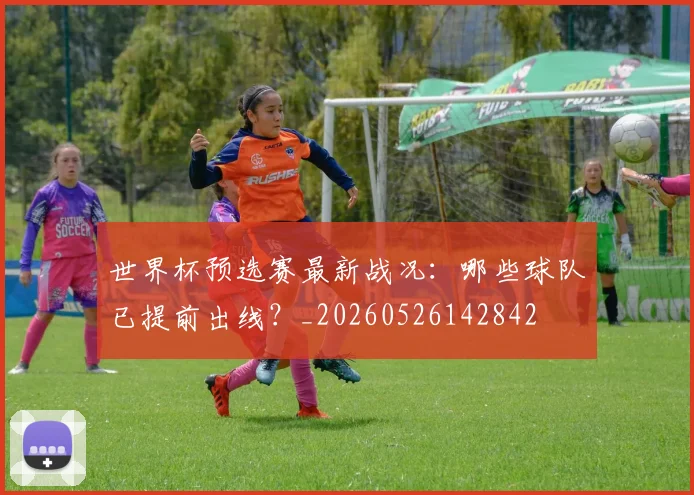 世界杯预选赛最新战况:哪些球队已提前出线?_20260526142842